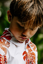 Koa Monstera (Keiki)